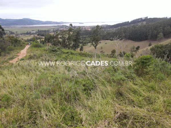 SC●TERRENO RURAL●44 HECTARES●PRODUTIVO, ESTRATÉGICO, VALORIZADO