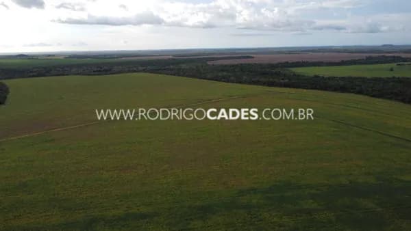 TOCANTINS●FAZENDA● 7.531 HECTARES