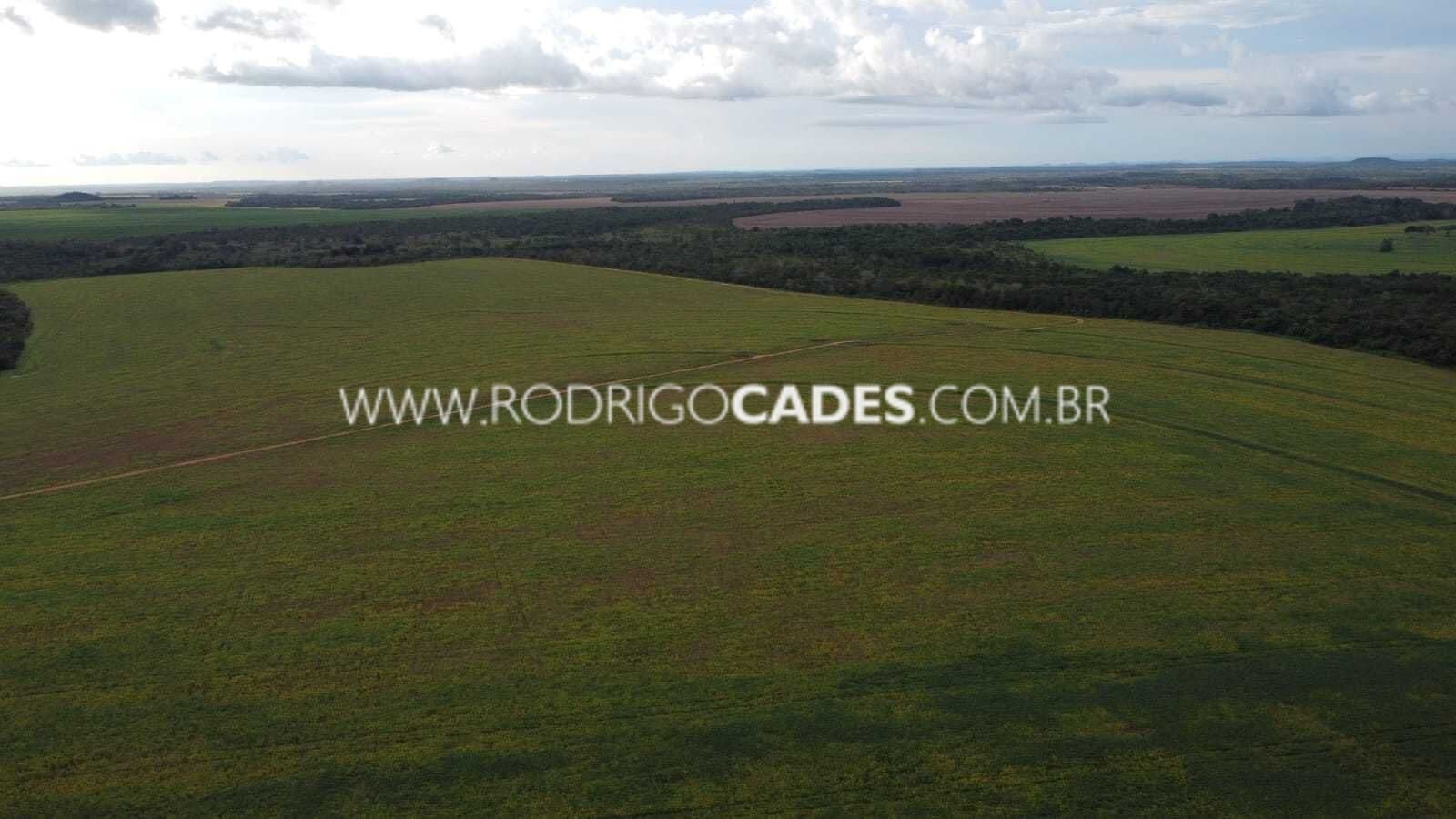 TOCANTINS●FAZENDA● 7.531 HECTARES