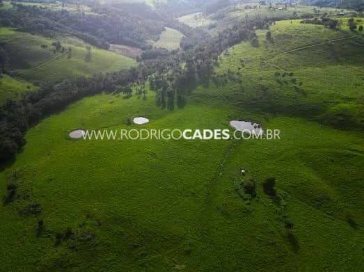 SC●FAZENDA●187 HECTARES●PORTEIRA FECHADA●PECURÁRIA