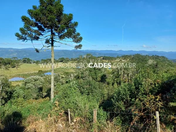 SC●2 HECTARES●TERRENO PREMIUM●SERRA CATARINENSE●1400M ALTITUDE