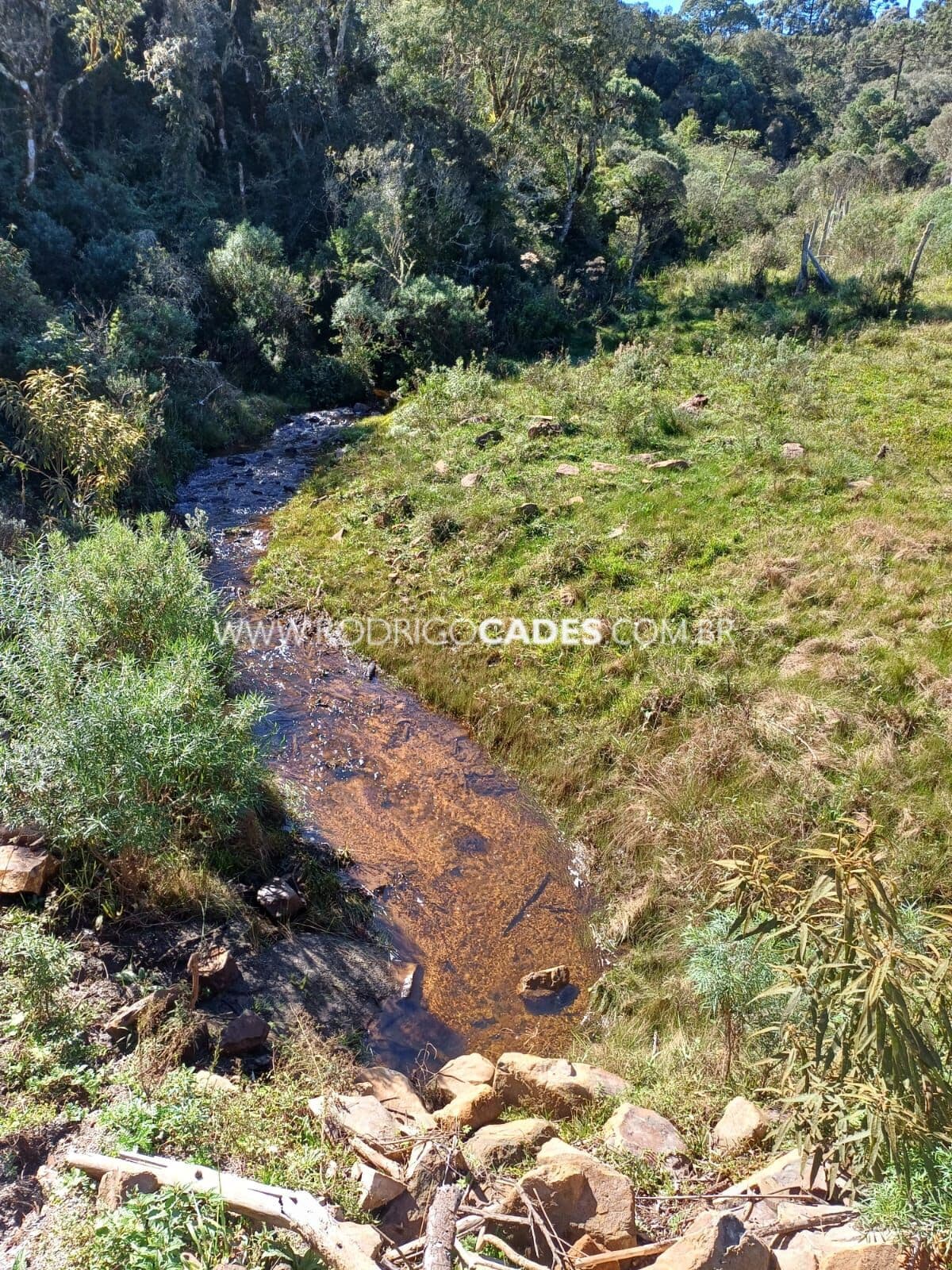 SC●2 HECTARES●TERRENO PREMIUM●SERRA CATARINENSE●1400M ALTITUDE