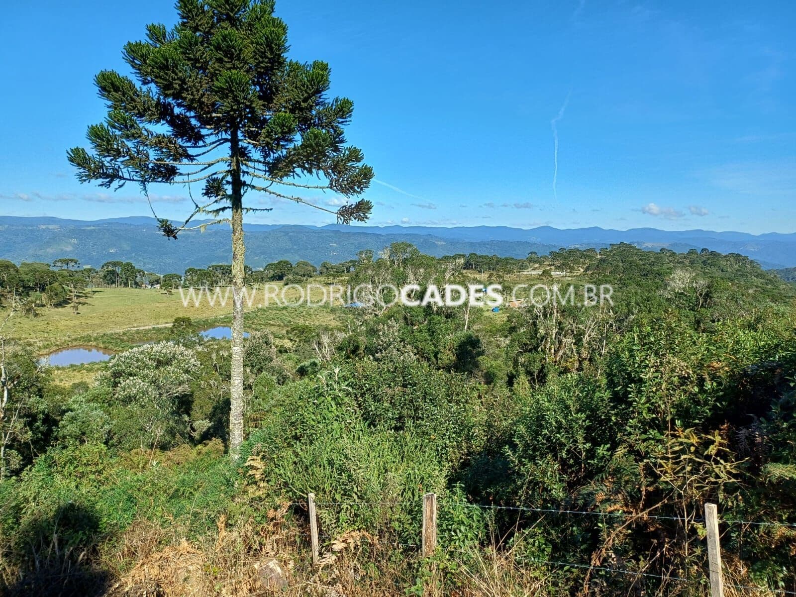 SC●2 HECTARES●TERRENO PREMIUM●SERRA CATARINENSE●1400M ALTITUDE