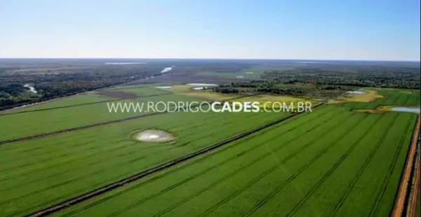 TOCANTINS●FAZENDA●10.200 HECTARES●AGROPECUÁRIA DE EXCELENCIA