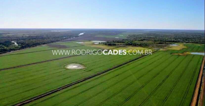 TOCANTINS●FAZENDA●10.200 HECTARES●AGROPECUÁRIA DE EXCELENCIA