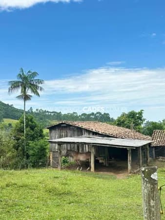 SC●SITIO●10 HECTARES●ESTRUTURA E QUALIDADE DE VIDA NO CAMPO
