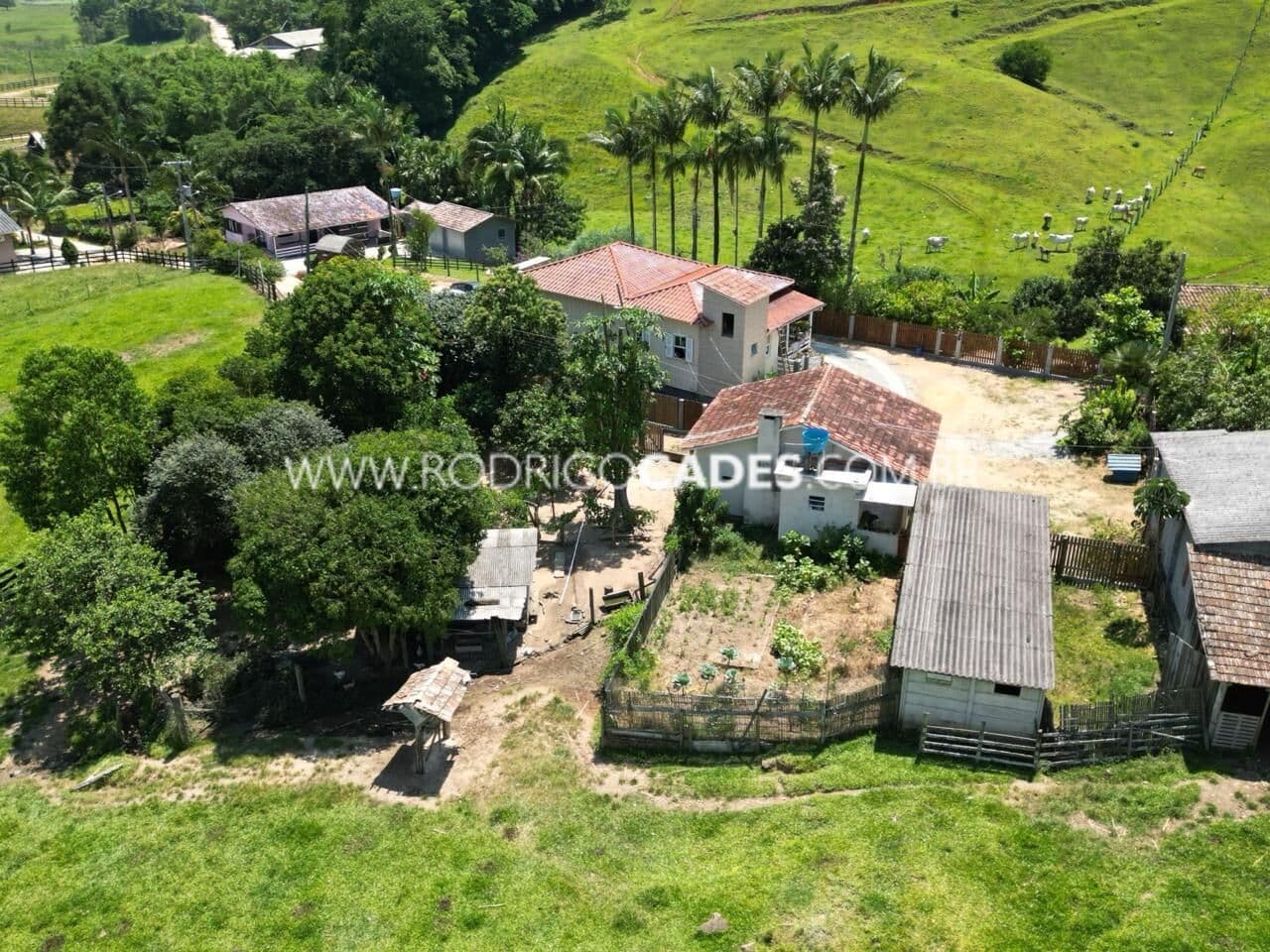 SC●SITIO●6,27 HECTARES●CASA•NASCENTE E ÁGUA CORRENTE•ESTRUTURA PARA PECUÁRIA