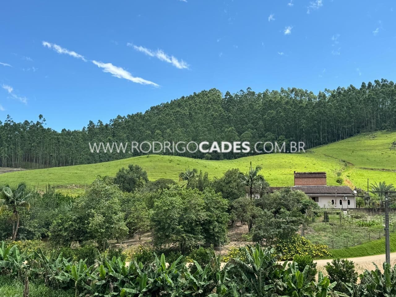 SC●SITIO● 7.5 HECTARES●MORADIA | PRODUÇÃO | LOCALIZAÇÃO