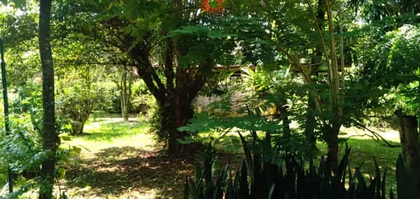 Fazenda/Sítios/Chácaras em Campinas - Chácara Santa Margarida