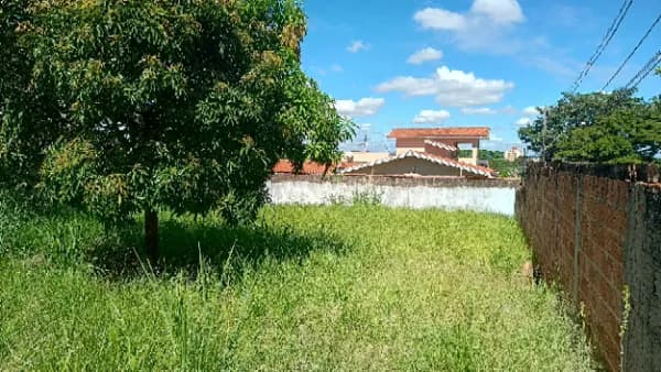Lote/Terreno em Campinas - Cidade Universitária