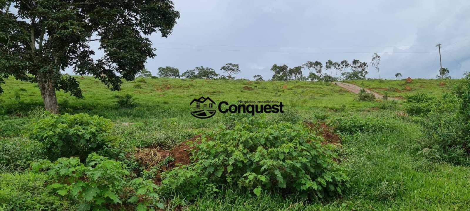 Fazendinha Cidade São Braz do Suaçuí de 74.100 metros !