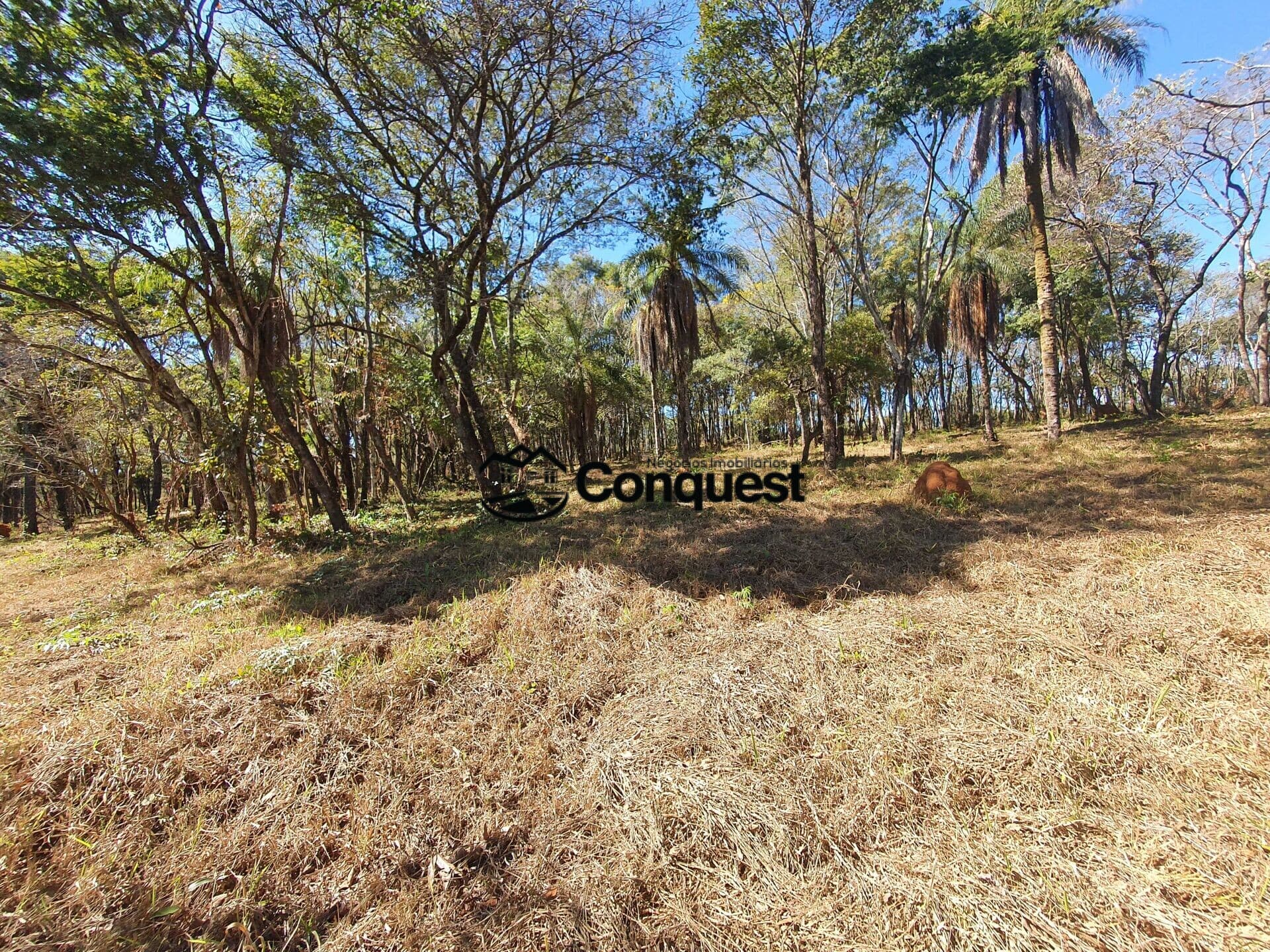 Vendo - Chácaras 2.000m² Capim Rasteiro Contagem - Financiamento Proprio !!