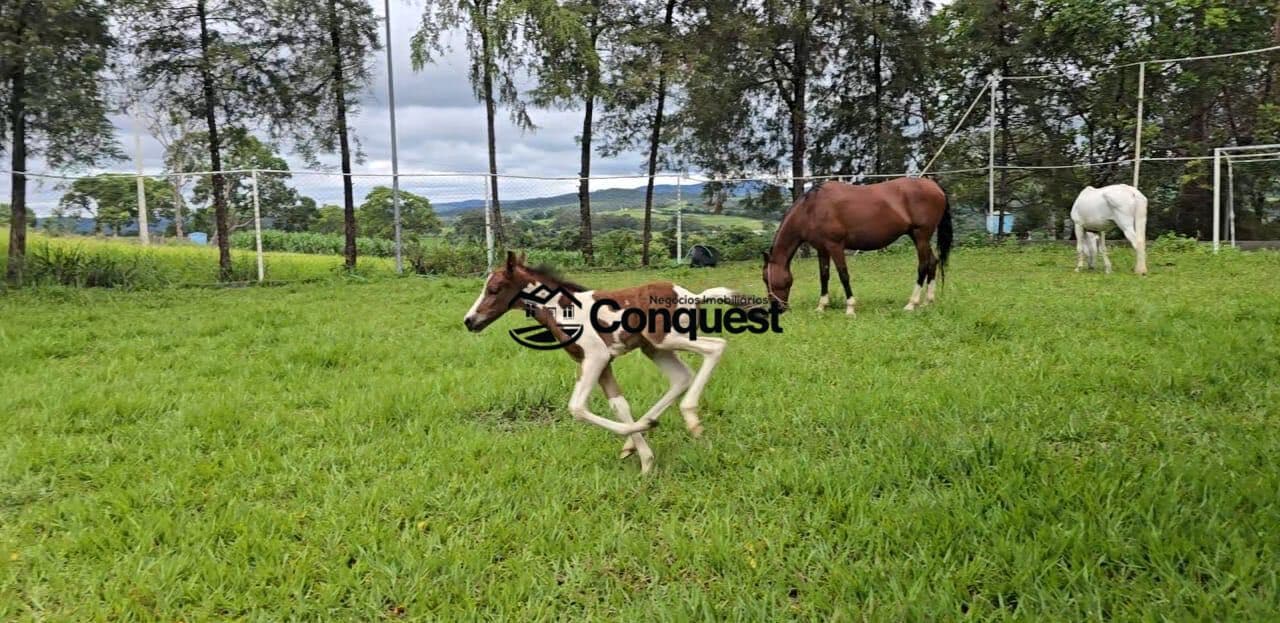 Vendo Lindo Haras - Chácara localizado em São José da Varginha, Esmeraldas/MG com 10 hectares !