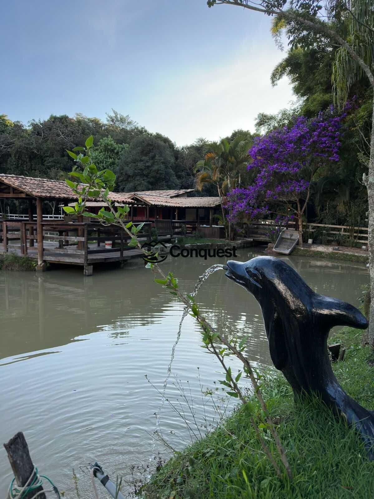 Vendo - Linda Fazendina / Haras de 8 Hectares em Itatiaiuçu !