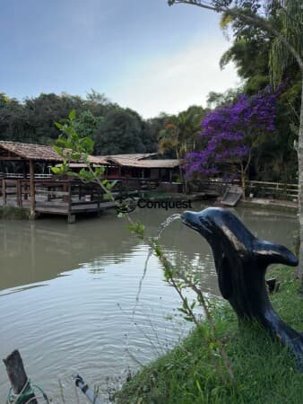 Vendo - Linda Fazendina / Haras de 8 Hectares em Itatiaiuçu !