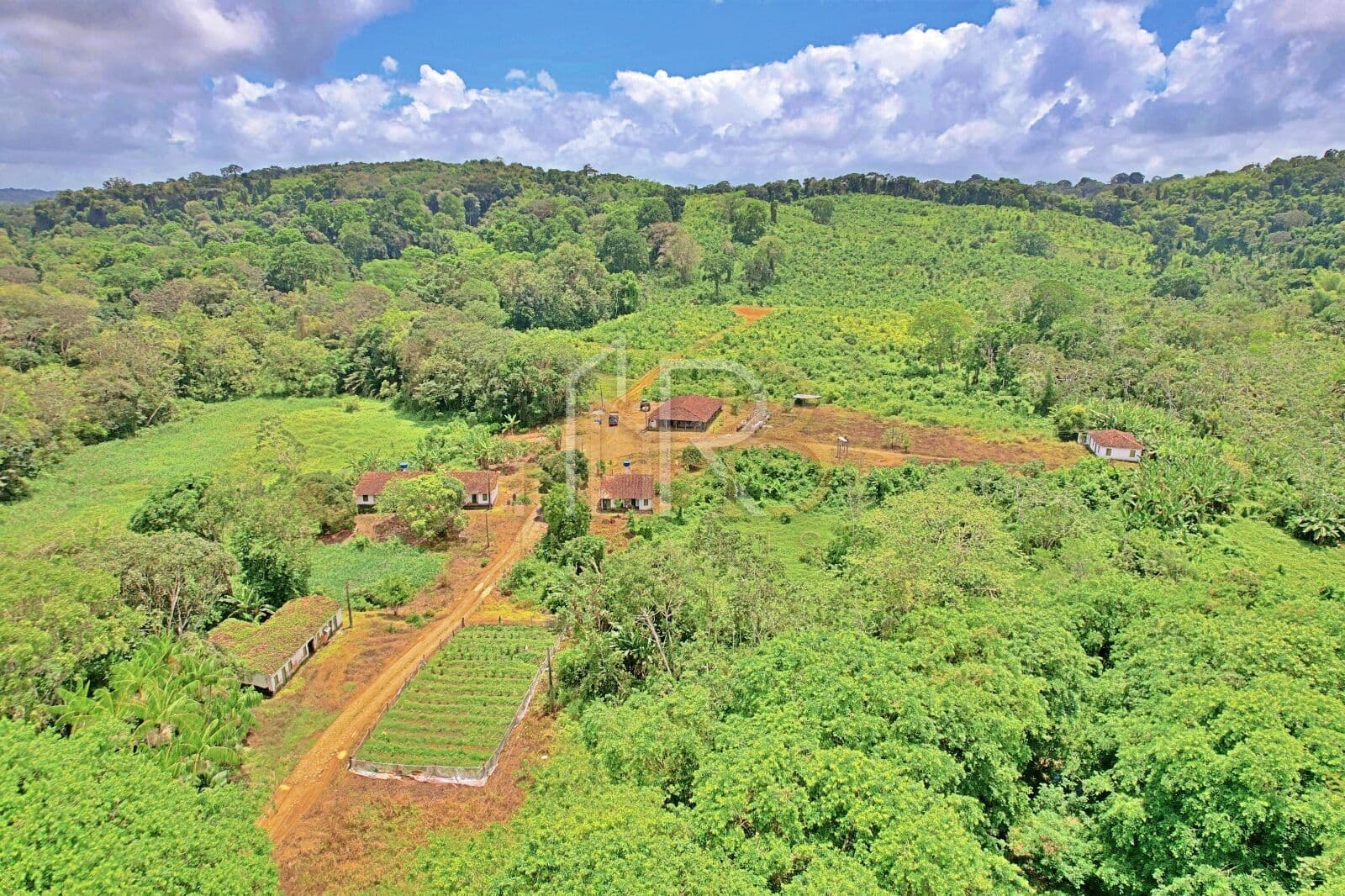Fazenda produtiva com 394 hectares na região de Uruçuca, BA