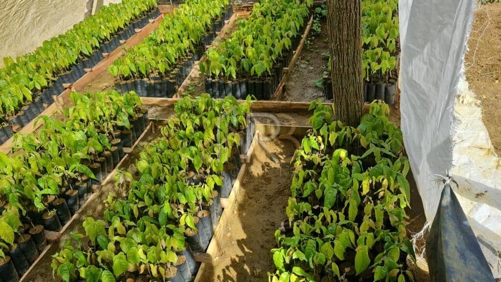 Fazenda localizada em Una estrada Una-Arataca