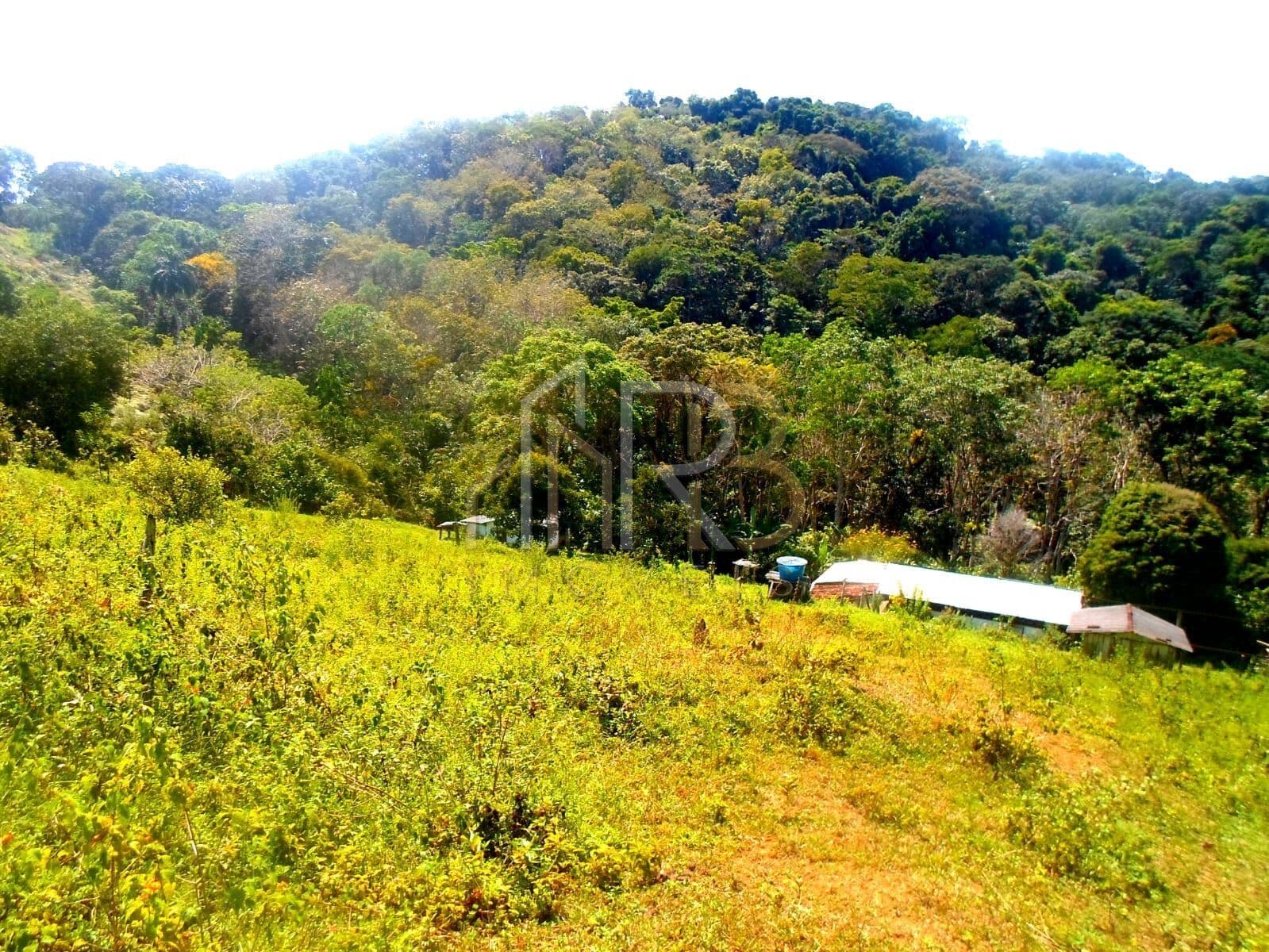 Sítio com 13 hectares