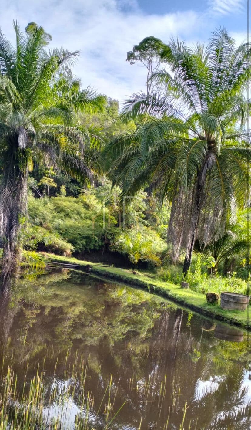 Sítio com 7,6 hectares em Ilhéus