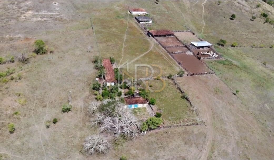 Fazenda de pasto em Potiraguá