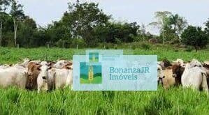 Fazenda para Venda em Arenápolis - Mato Grosso