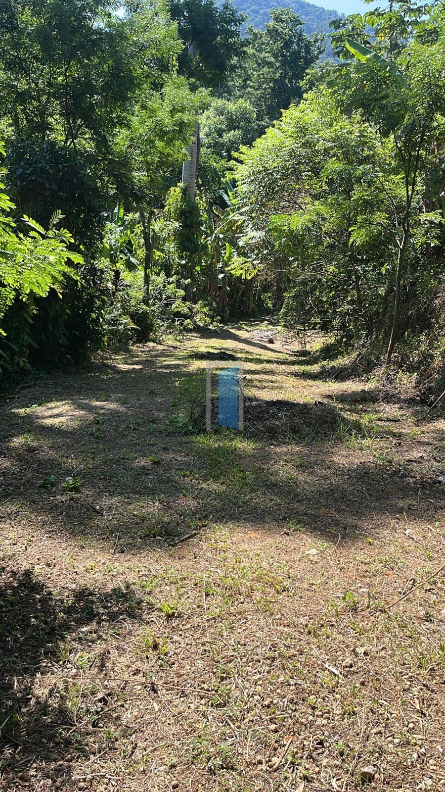 🌿🏡 Sítio na Ilha de Guaratiba | 15.000m² | Com RGI