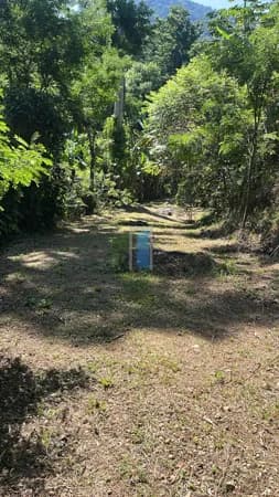 🌿🏡 Sítio na Ilha de Guaratiba | 15.000m² | Com RGI