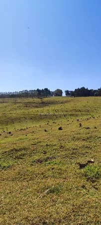 Magnífica Fazenda à venda na Região de Botucatu - SP