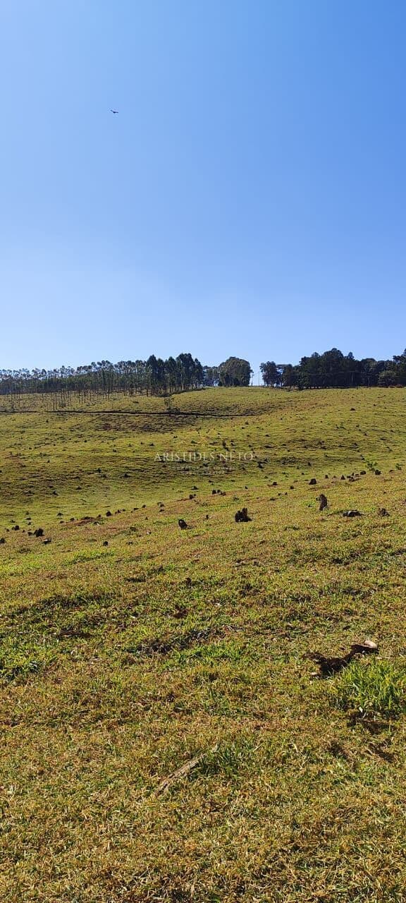 Magnífica Fazenda à venda na Região de Botucatu - SP