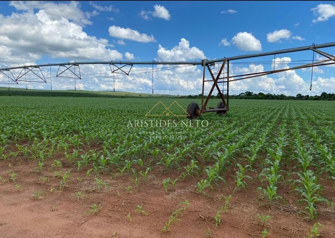 Excelente Fazenda 240 Alqueires, Avaré/SP
