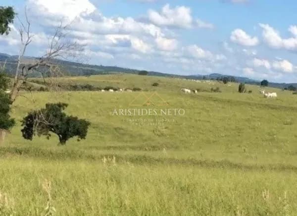 Fazenda Pecuária na Região de Botucatu/SP