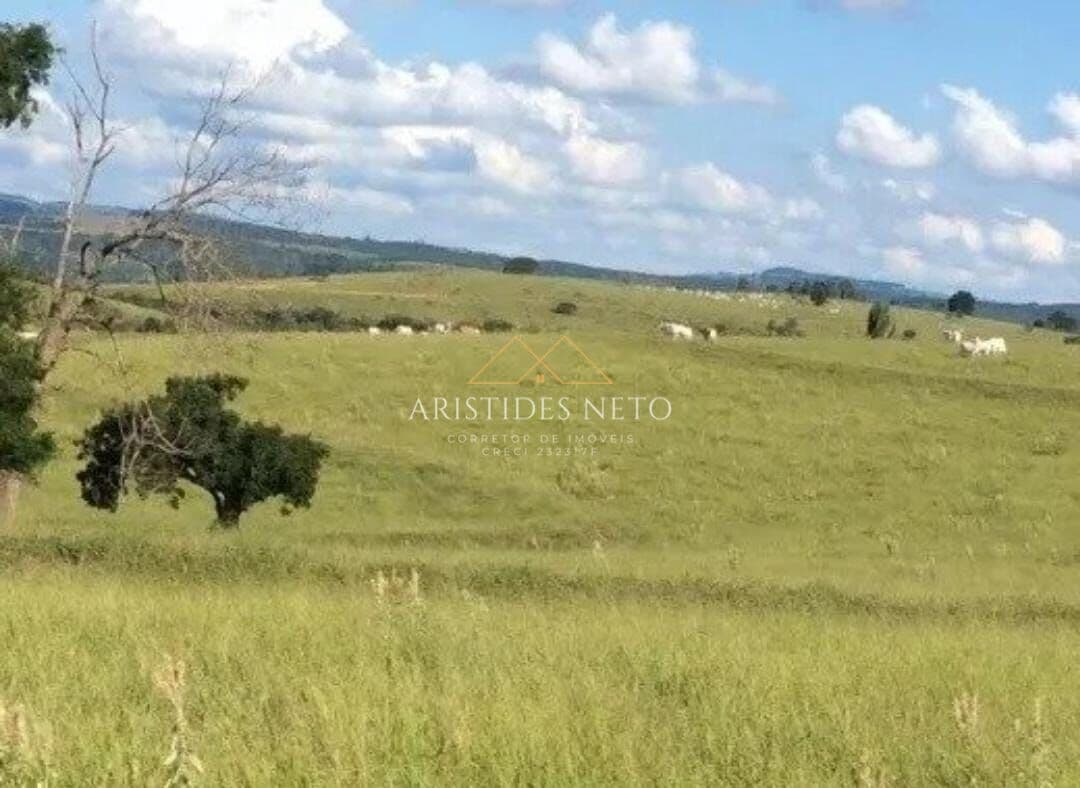 Fazenda Pecuária na Região de Botucatu/SP