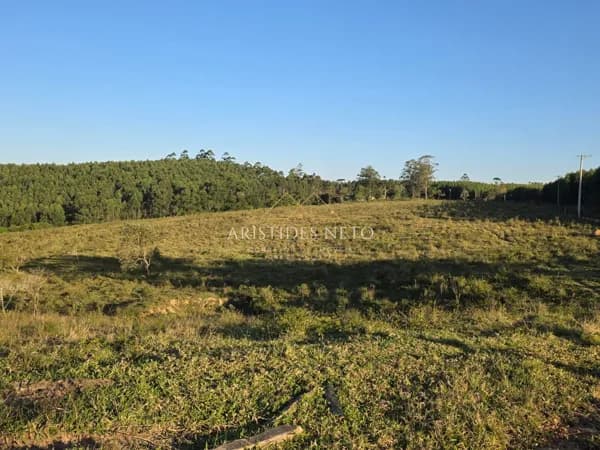 Excelente sítio à venda na região de Itapetininga SP