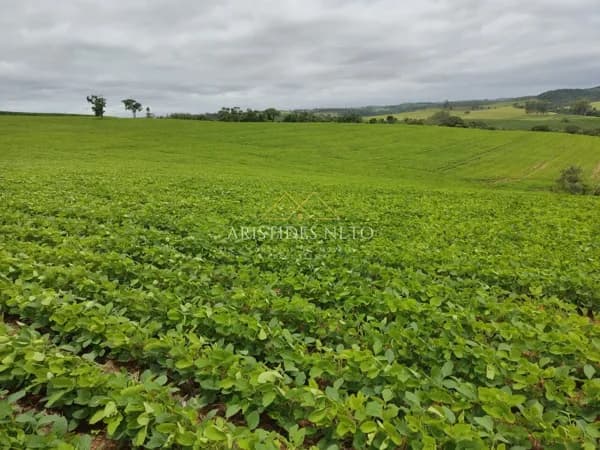 Excelente Sítio à venda na Região de Sorocaba SP