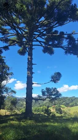 Sítio Perto da Estrada