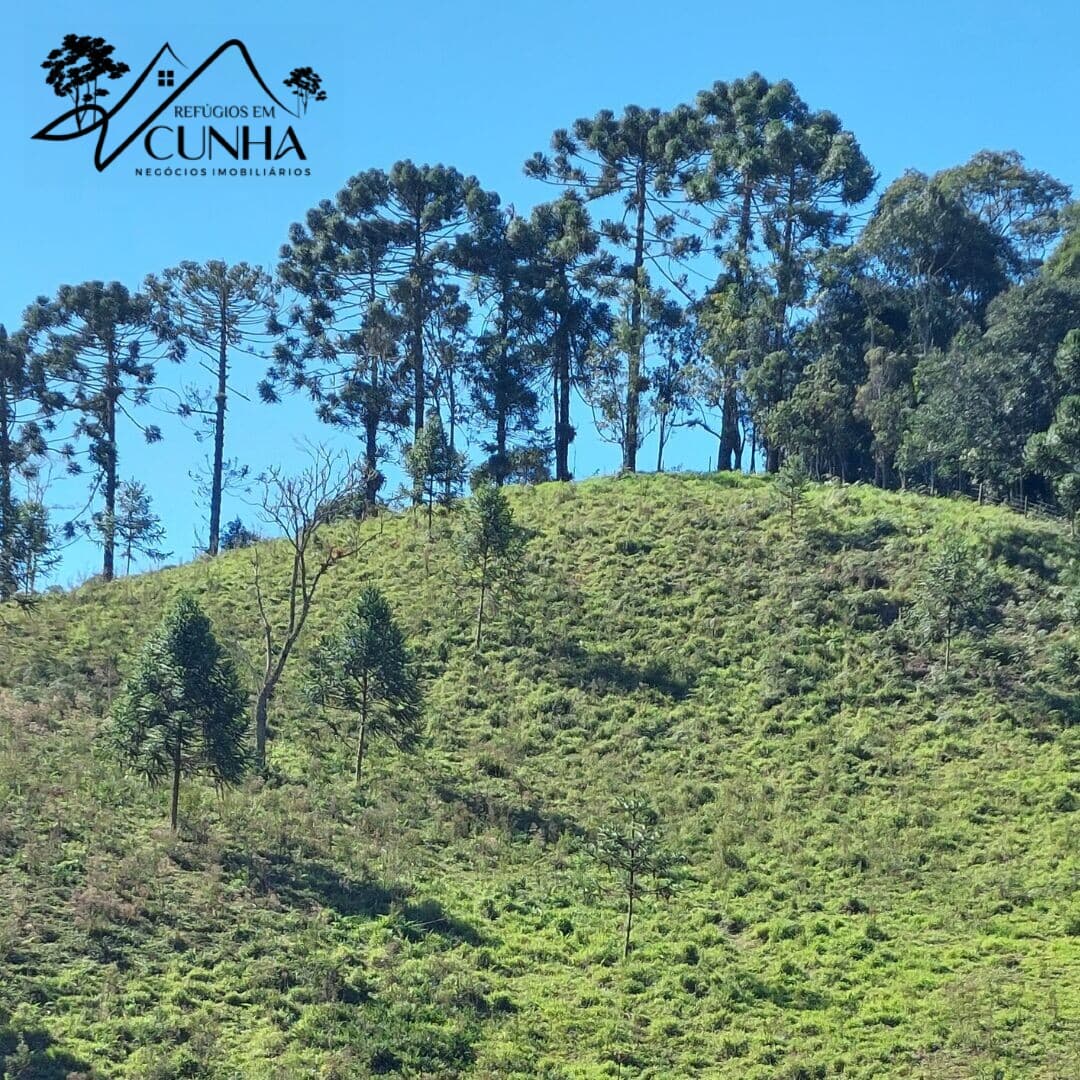 Lindíssima propriedade rural, próxima ao Parque Estadual da Serra do Mar