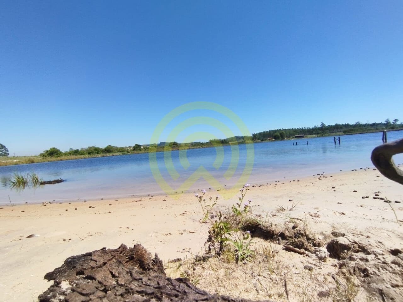 Fazenda/Sítios/Chácaras em Jaguaruna - Campo Bom