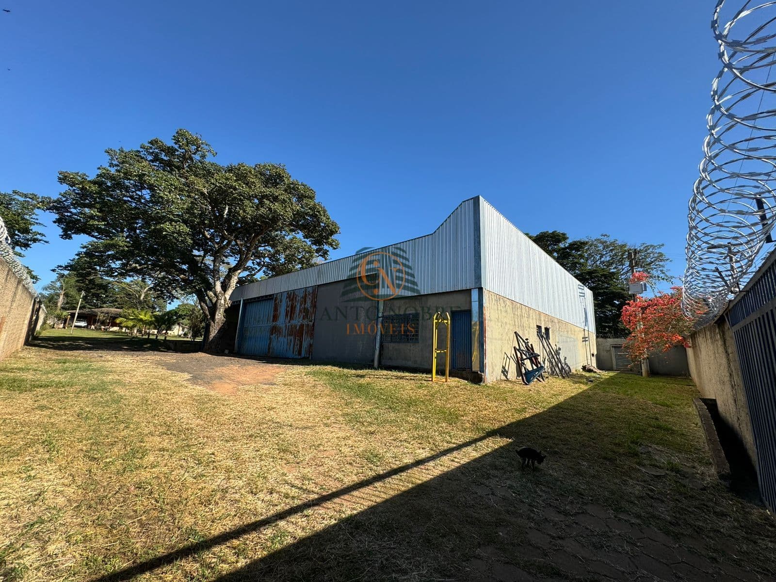 Galpão Comercial e casa em Chácara Flora Araraquara, Araraquara/SP