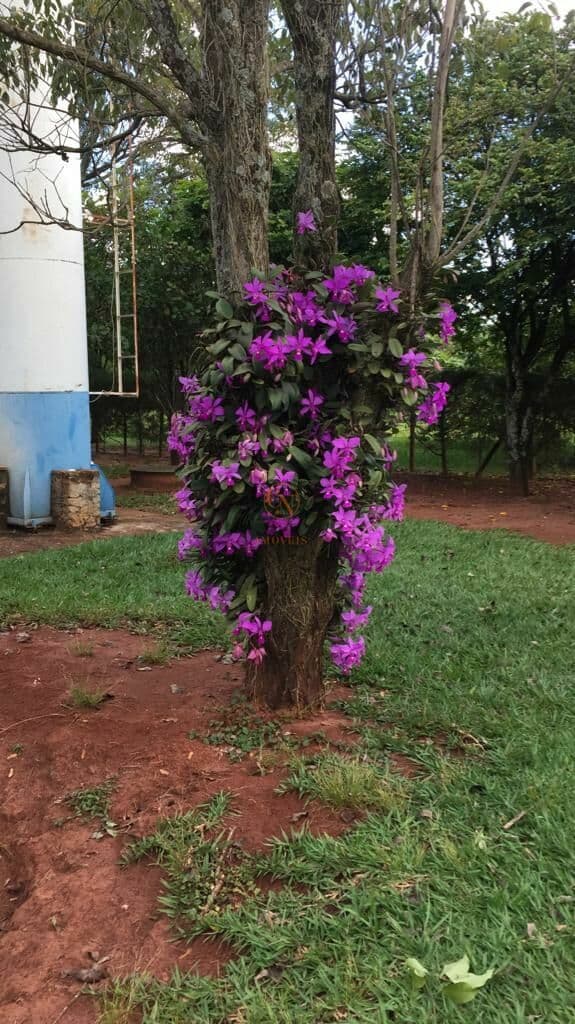 Chácara Recanto Das Flores