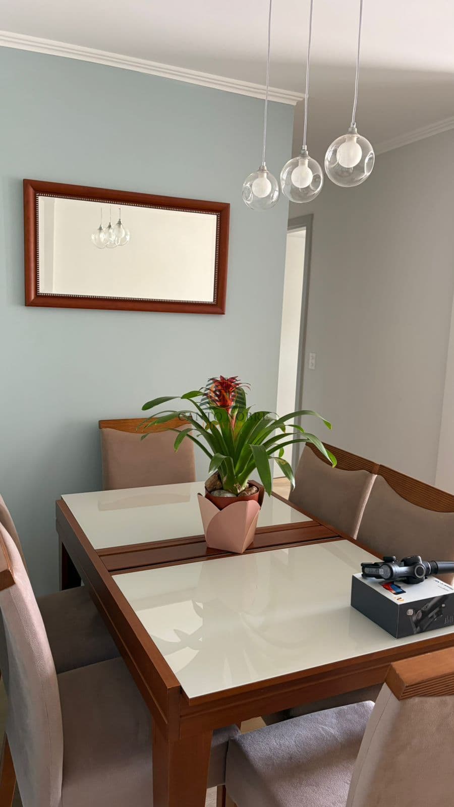 Apartamento em Centro, Araraquara/SP