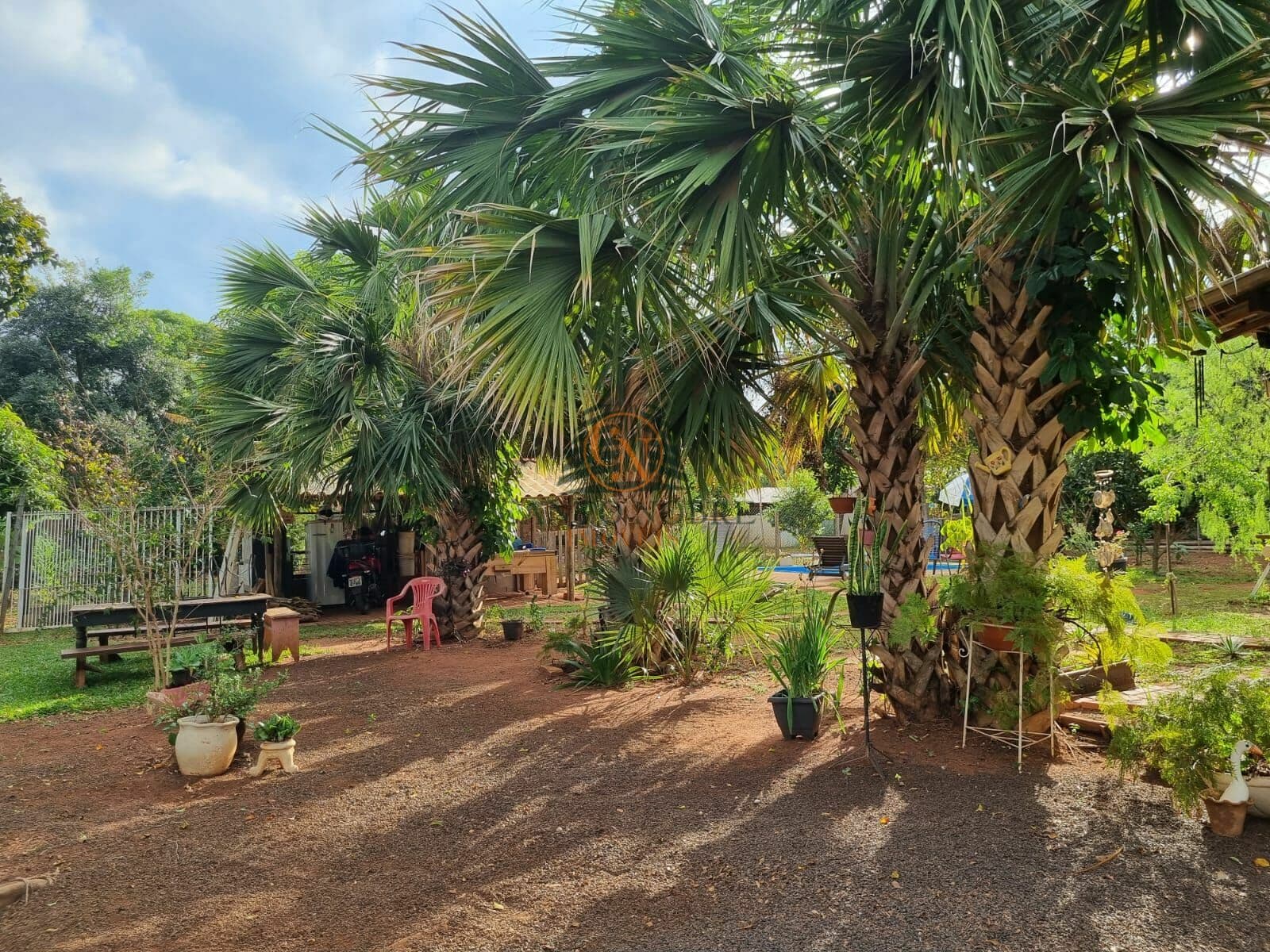 Fazenda/Sítios/Chácaras em Araraquara - Chácara Flora Araraquara