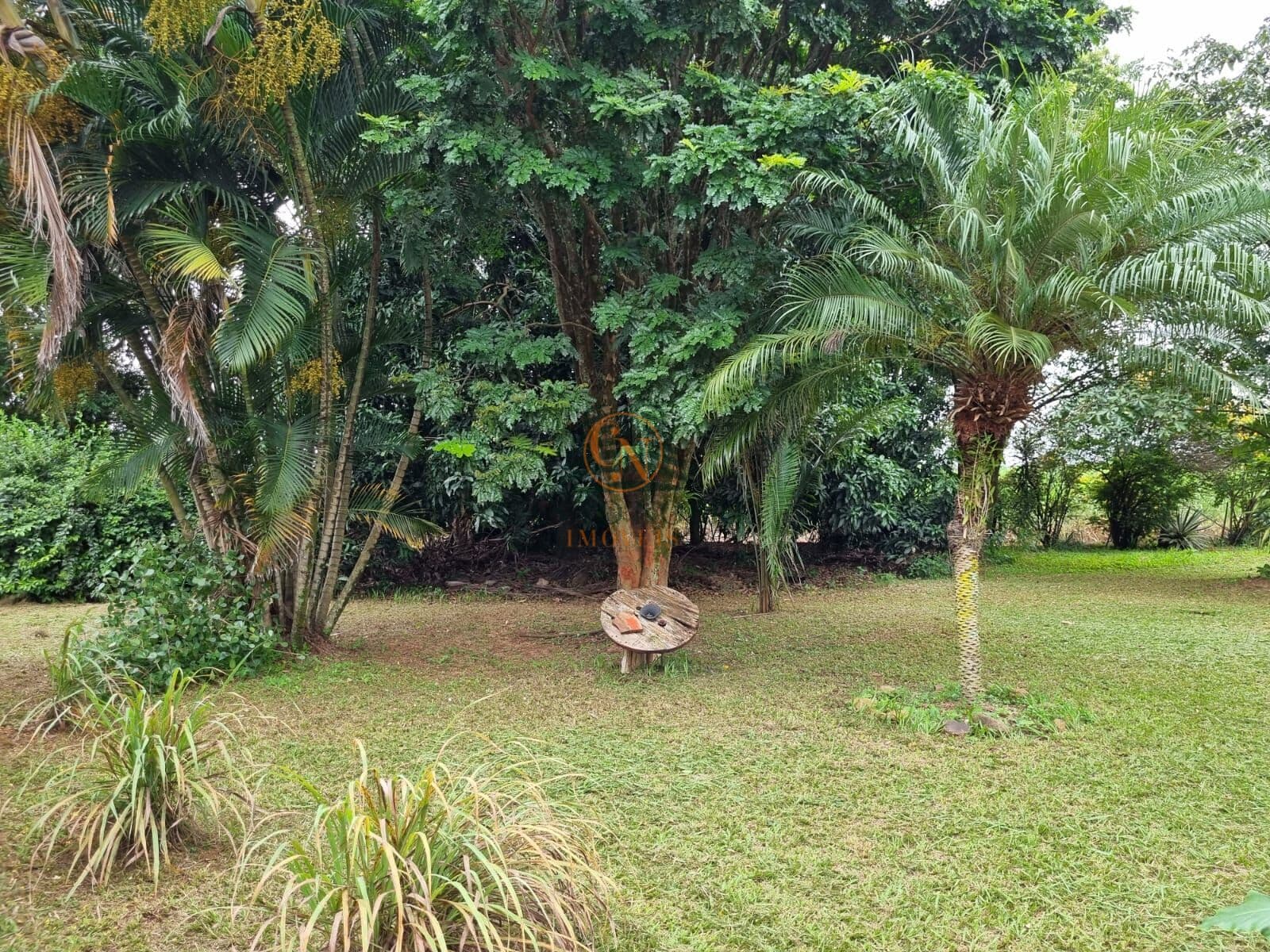 Fazenda/Sítios/Chácaras em Araraquara - Área Rural de Araraquara