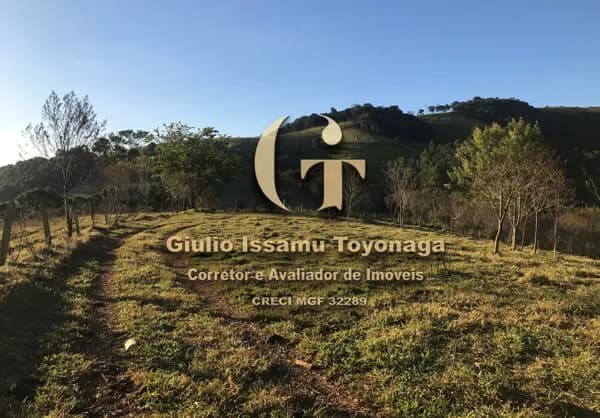 Terreno à venda em Toledo - MG