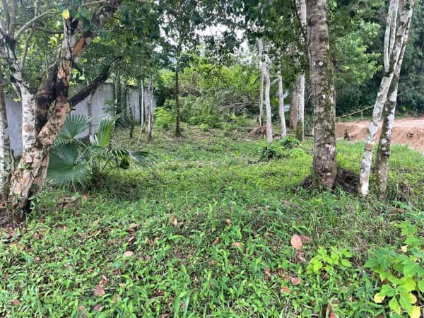 Terreno para Venda em Praia do Estaleiro Balneário Camboriú-SC