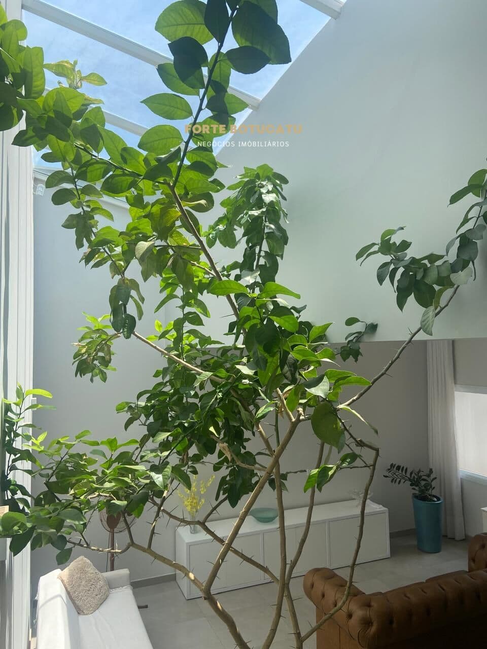 Casa Alto Padrão em Altos do Paraíso, Botucatu/SP