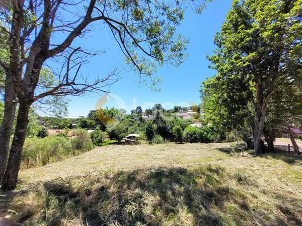 Terreno - excelente localização.