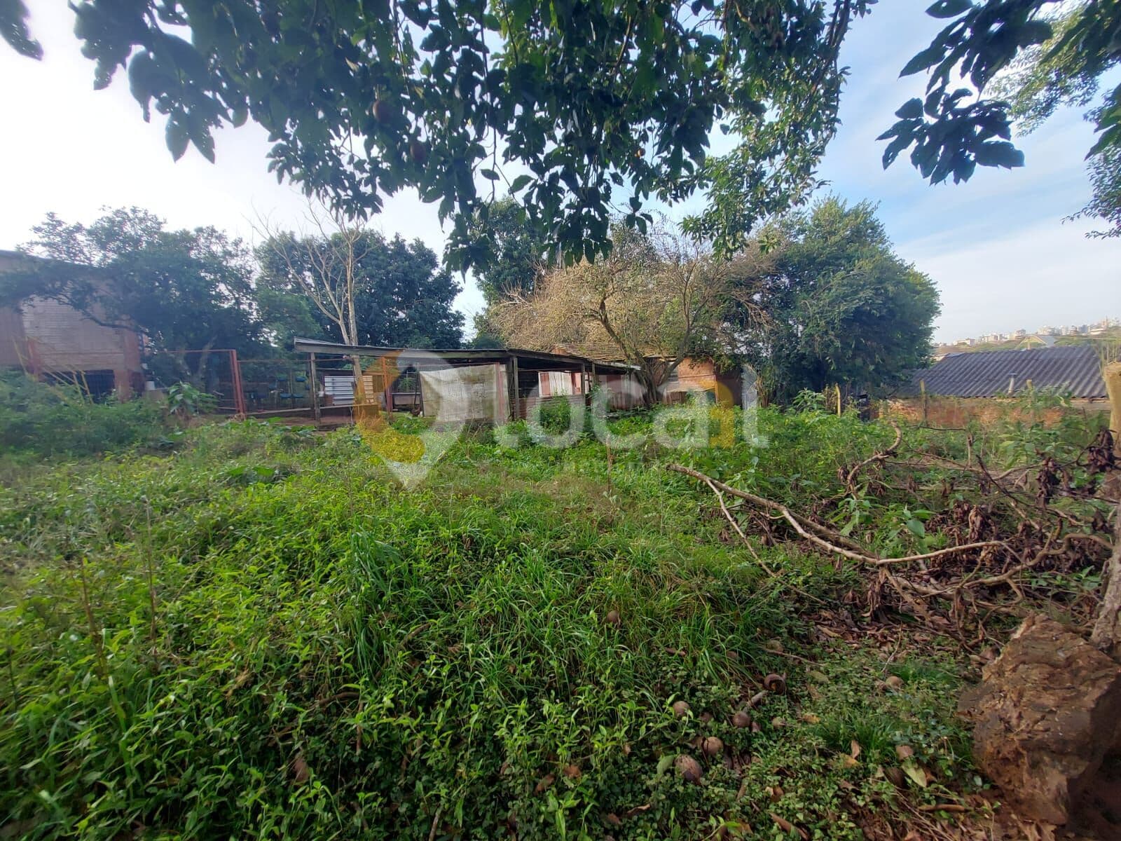 Lote/Terreno em Carazinho - Floresta
