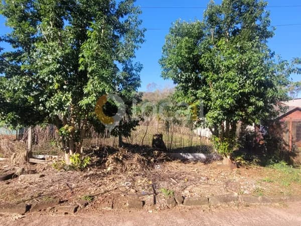 Lote/Terreno em Carazinho - Conceição