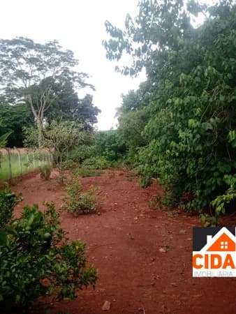 Terreno à venda no bairro Paraíso da Cachoeira - Mogi Mirim/SP