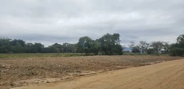 Lote/Terreno em Tijucas - Praça